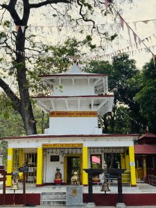 White and yellow temple with brass bells, prayer flags, and a golden cow statue surrounded by trees.