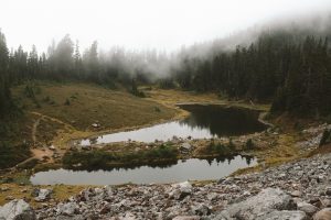 Two small lakes surrounded by a foggy forest with a few hiking paths in view.