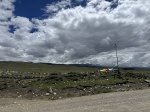 A low-angle view along a dirt road lined with long strings of colorful Buddhist prayer flags stretched across green grassy knolls. A single utility pole stands under an overcast sky heavy with grey and white clouds.