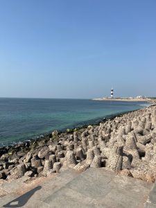 Rocky shoreline with concrete wave breakers along a calm blue sea and a lighthouse visible on the distant horizon.
