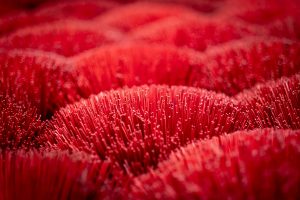 Close-up of bright red incense sticks drying in the factory courtyard.
