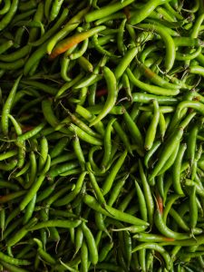 A dense pile of fresh green chilies fills the frame, with a few ripening to orange and red. The close-up composition highlights their varied shapes, glossy texture, and vibrant green color. Location: Poovattuparamba, Kozhikode, Kerala.
