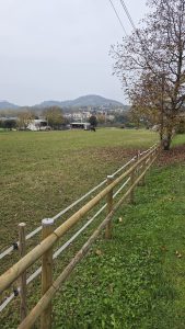 Wooden post and rail fence lining a green pasture with horses grazing under a cloudy sky.