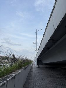 A tiled walkway beneath an overpass, bordered by overgrown plants and streetlights under a pale blue sky.

