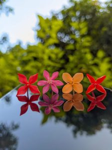 Jungle geranium, west indian jasmine, or rangan. Four small ixora flower florets—bright red, pink, orange, and red—arranged in a row on a reflective surface showing their mirror reflections against a blurred green leafy background.