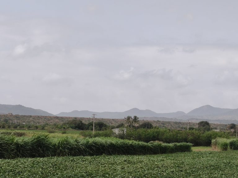 Lush green fields with tall grass and crops, rolling hills in the background, and power lines under an overcast sky.