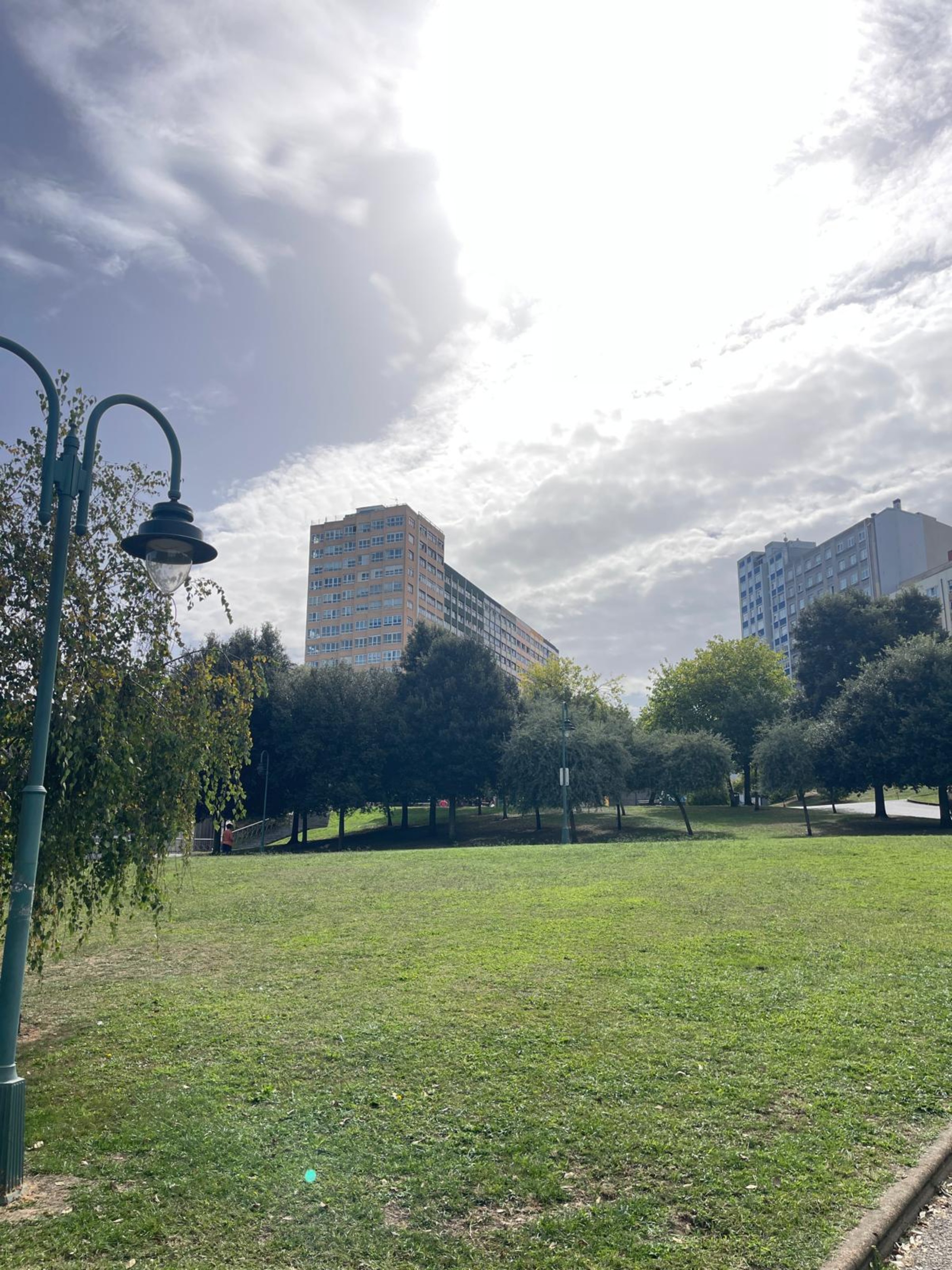 A green park with a lamppost, trees, and a tall modern building under a bright cloudy sky.