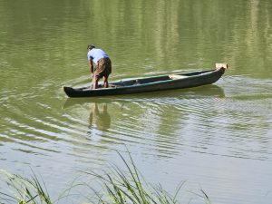 A traditional narrow boat moves across calm green waters, with a person working inside. Reflections, gentle ripples, and the surrounding greenery give the photograph a peaceful rural character. Location: Perumanna, Kozhikode, Kerala.
