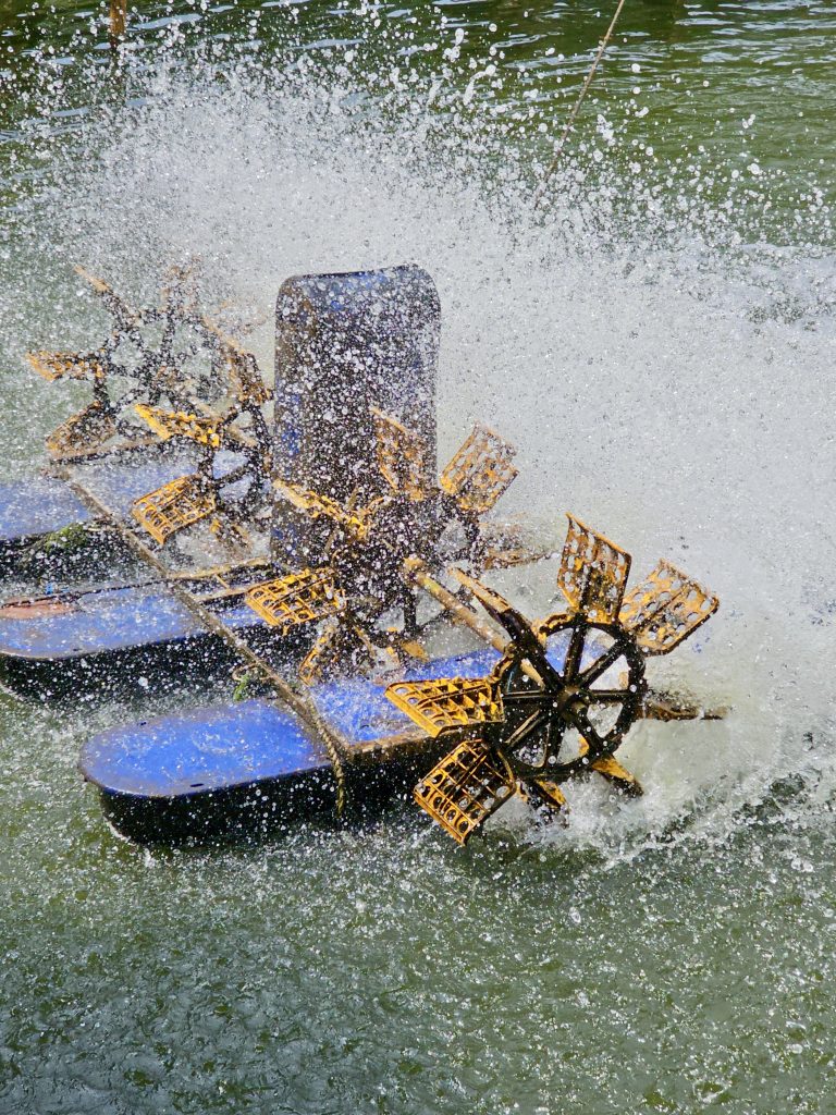 A small water wheel spins through rushing water, creating a dramatic splash frozen in motion. The combination of movement, texture, and contrasting colors makes this photo energetic. Location: Ayamkudy, Kottayam, Kerala.