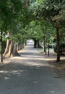 Wide stone-paved path in Santa Margarita Park in A Coruña, lined with dense trees casting dappled shadows.
