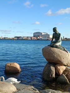 Bronze statue of The Little Mermaid resting on a rock along the waterside in Copenhagen with a white swan swimming nearby under a clear blue sky.