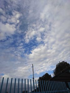 Partly cloudy blue sky above a light blue fence, with a tree, building, and utility pole in the background.
