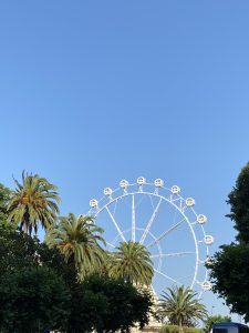 Large white Ferris wheel towering behind lush green palm trees against a clear blue sky.