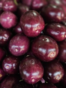 A close-up view of fresh purple Eggplants with smooth, glossy skins and water droplets. The deep purple tones and overlapping eggplants create a rich and attractive composition. Location: Kuttikkattoor, Kozhikode, Kerala.
