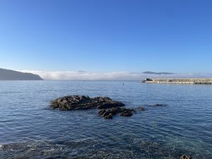 Panorámica costera de la ría de Corme con aguas tranquilas y transparentes en primer plano sobre formaciones rocosas. Al fondo se distingue el espigón del puerto de Corme y su faro, con un denso banco de niebla sobre la línea del horizonte.