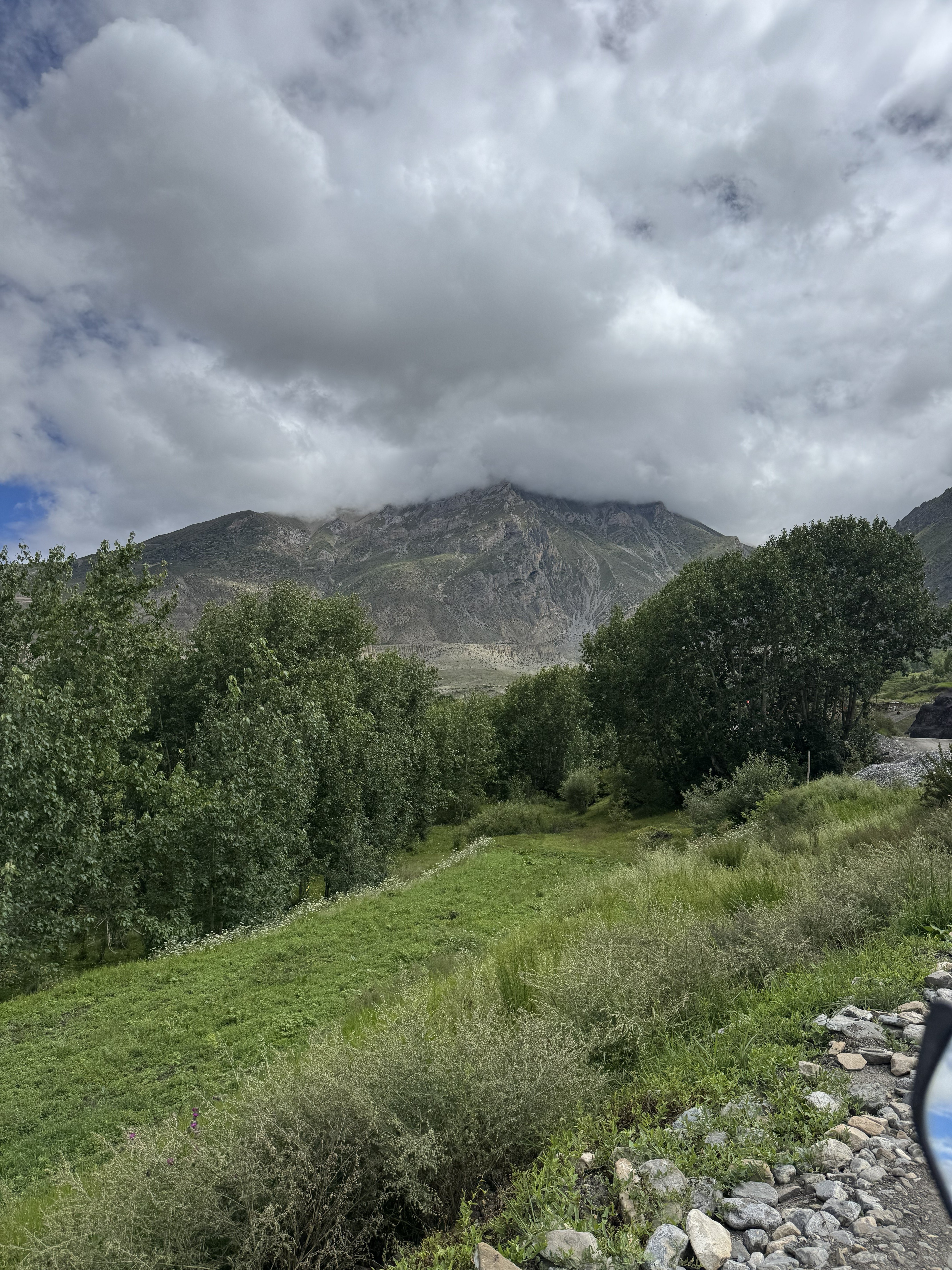 Lush green field with trees and a rocky mountain peak partly covered by clouds.