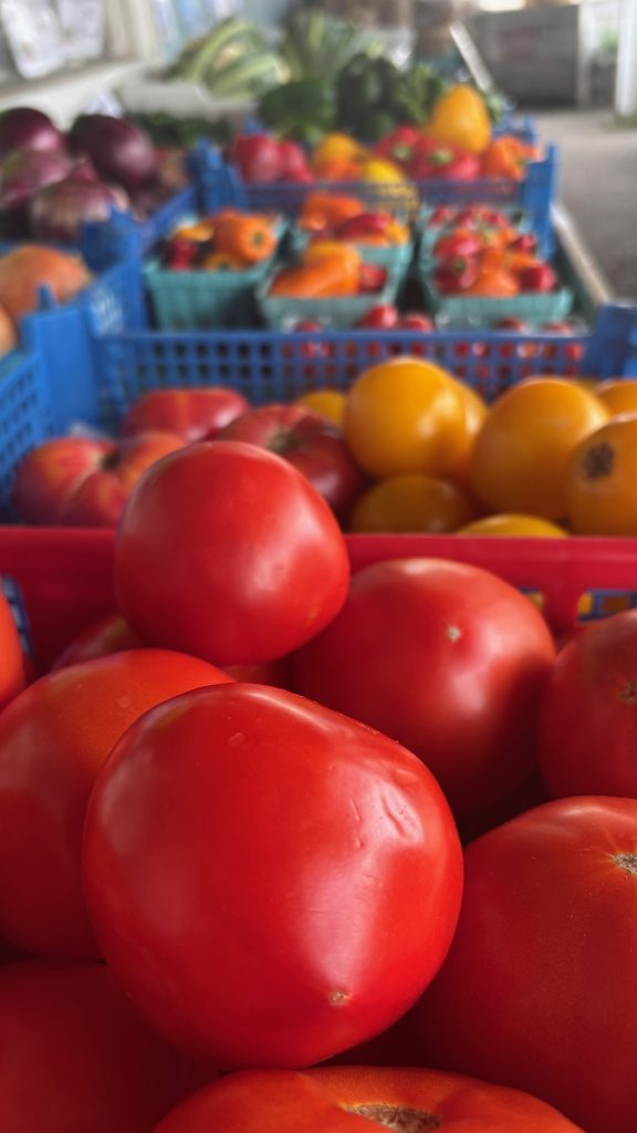 A table covered in baskets of tomatoes for sale. In the foreground they’re quite close and clear, but in the background they’re out of focus.