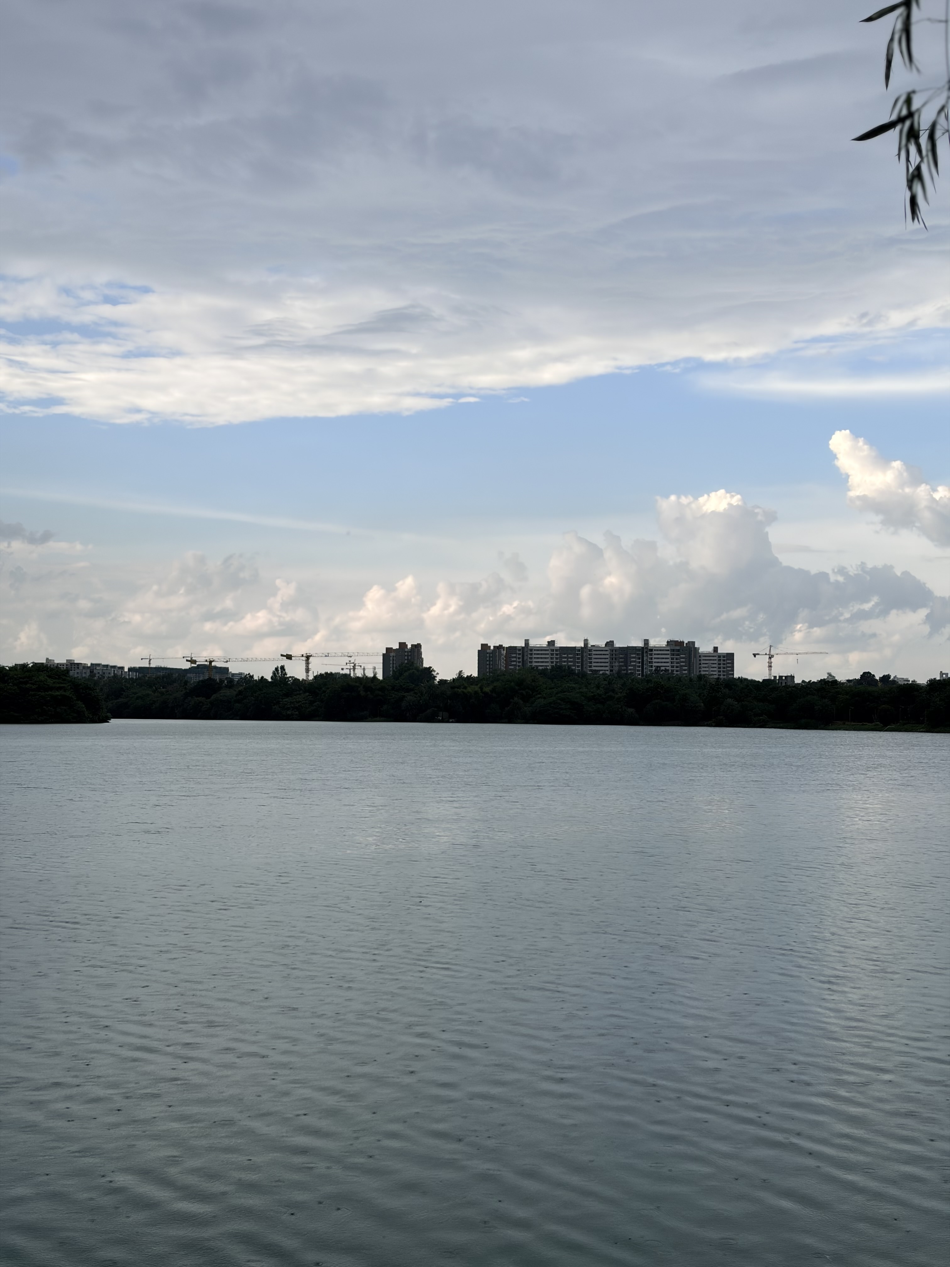 A calm lake with rippling water, a tree-lined shore, and distant high-rise buildings under a blue sky filled with soft, dramatic clouds.
Location: Jakkur Lake,Bangalore