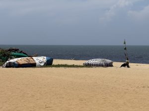 Three covered boats on a sandy beach with green plants, calm water, and a clear sky.
