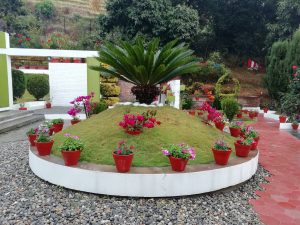 A landscaped garden with a grassy hill, colorful potted flowers, and lush greenery.