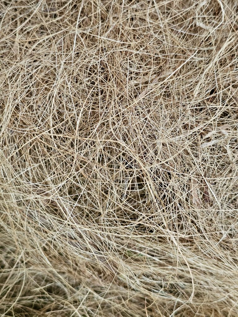Close-up abstract view of a dense layer of coconut fiber, showing its fine strands, tangled patterns, and natural beige tones. Location: Ayamkudy, Kottayam, Kerala.