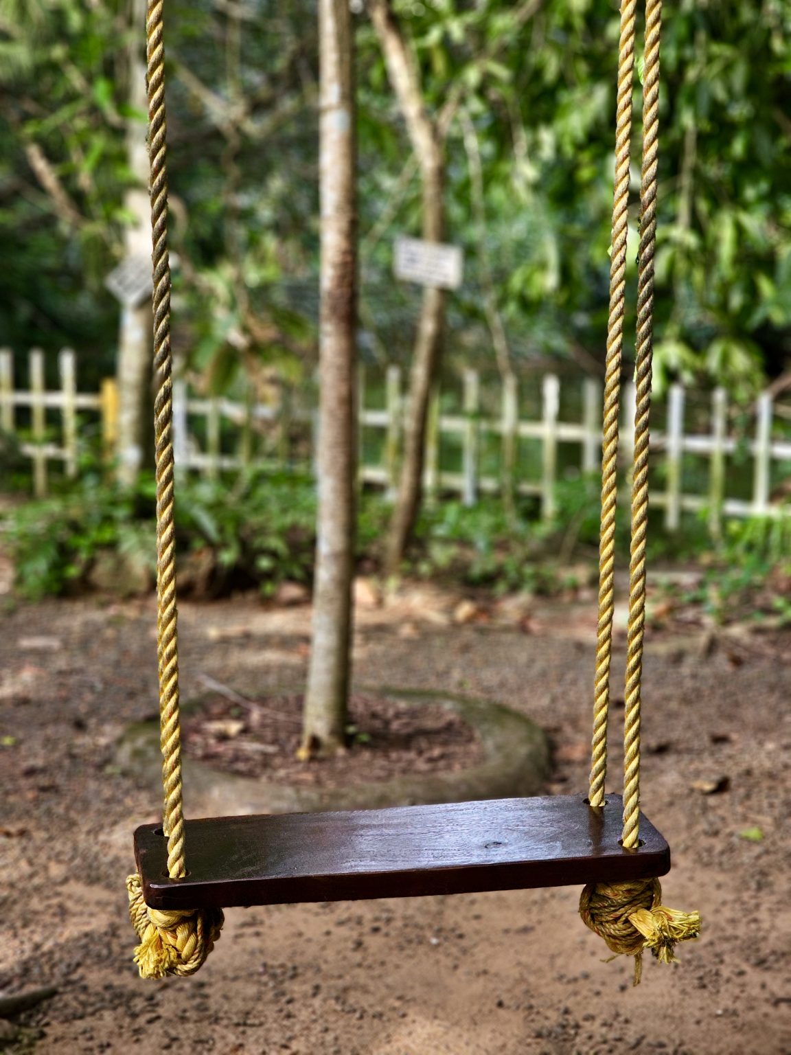 A simple wooden swing suspended by twisted ropes in a green outdoor setting. The shallow depth of field keeps the swing prominent while the surrounding vegetation provides a natural backdrop. Location: Ayamkudy, Kottayam, Kerala.