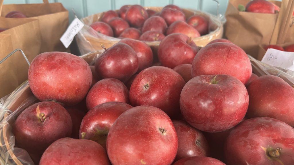 Closeup of a basket of apples.
