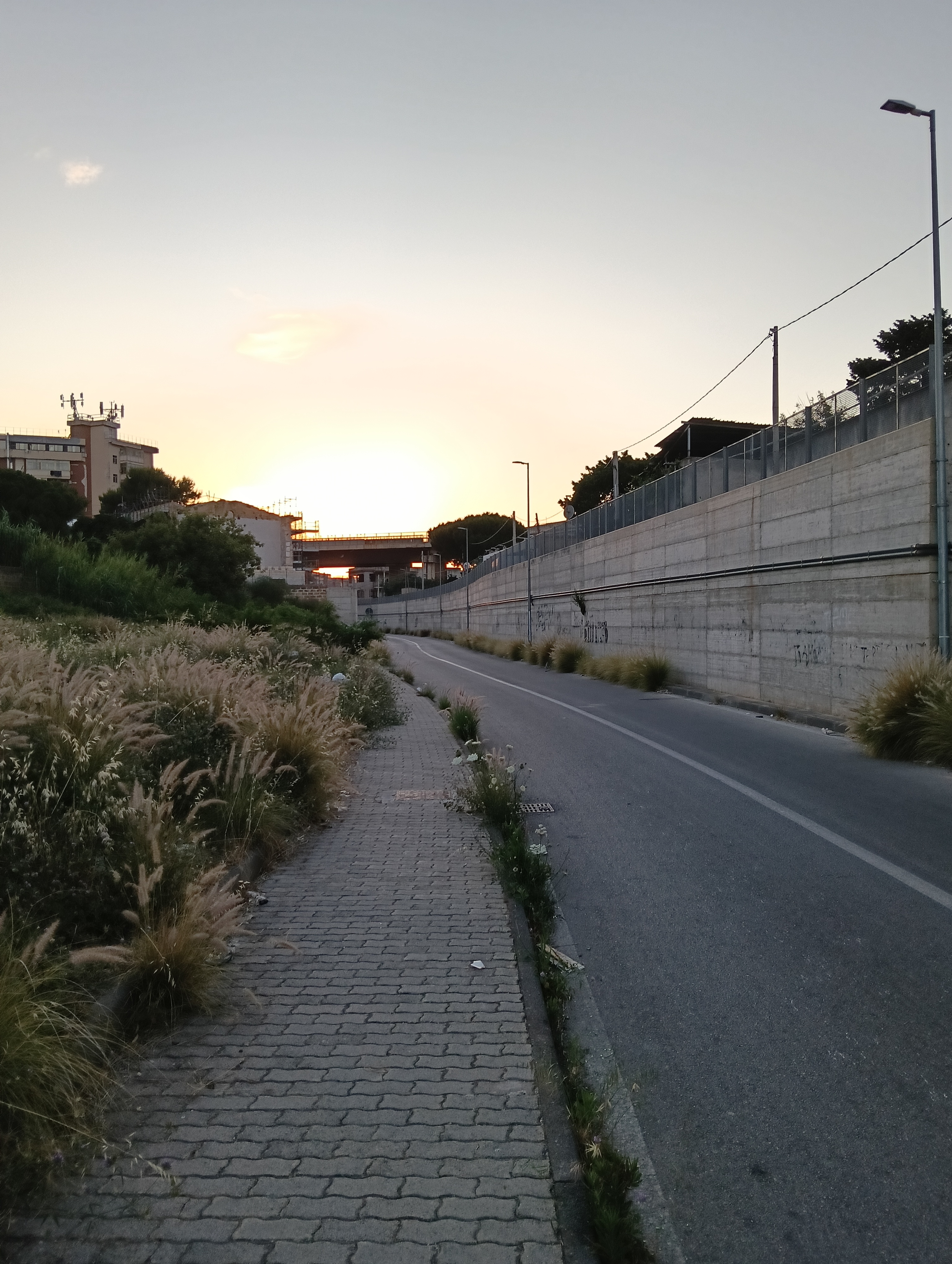 Paved walkway and road at sunset, bordered by tall grass, with buildings, a bridge, and streetlights in the distance.