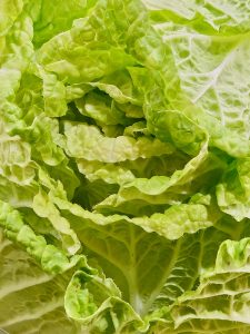 A close-up view of fresh green lettuce leaves, showing their soft folds, veins, textures, and different shades of green. The tight composition gives the photo a natural and refreshing feel. Location: Palazhi, Kozhikode, Kerala.
