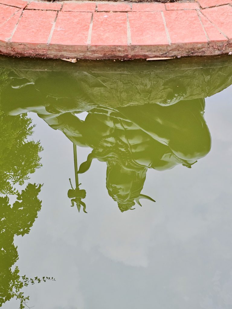 A calm pond reflects a large green leaf-covered structure and surrounding trees, creating an abstract natural reflection. The unusual orientation and muted green tones give the photograph an artistic quality. Location: Ayamkudy, Kottayam, Kerala. #wcktm2026