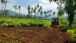A red tractor tilling red soil in an open agricultural field, bordered by dense green vegetation and a row of tall coconut palms under a bright blue sky with distant hills.