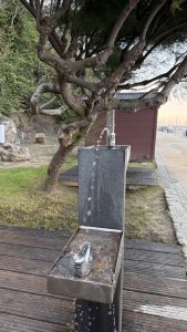 Modern metal water fountain running next to a wooden walkway and a large leaning tree near a coastal promenade.
