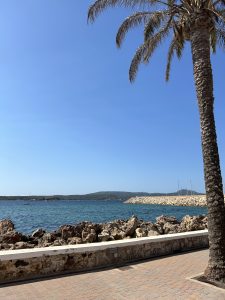 Coastal view with a promenade, palm tree in the foreground, and turquoise sea.
