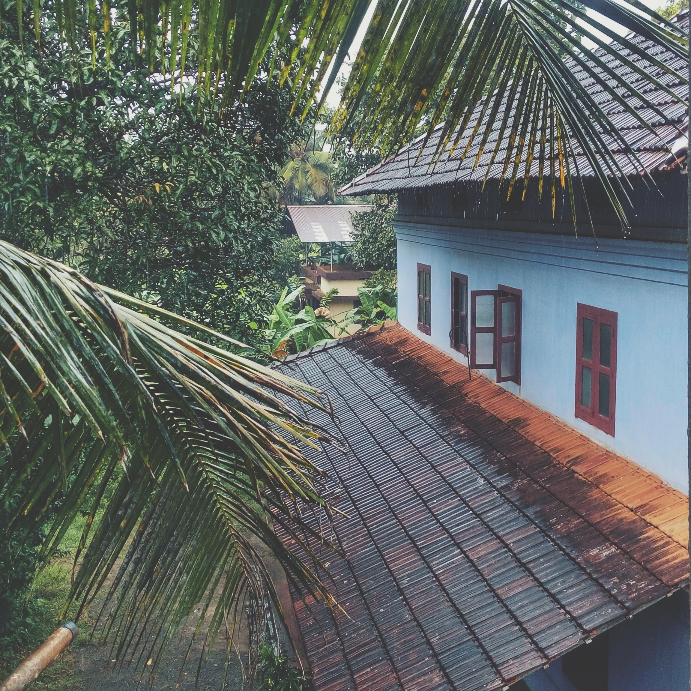 Traditional Kerala-style two-story building with a tiled roof, red-framed windows, and lush tropical foliage in the rain.