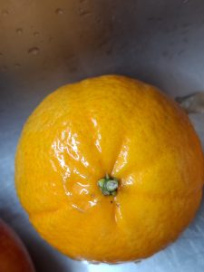 A shiny, bright orange fruit sits on a metallic surface.