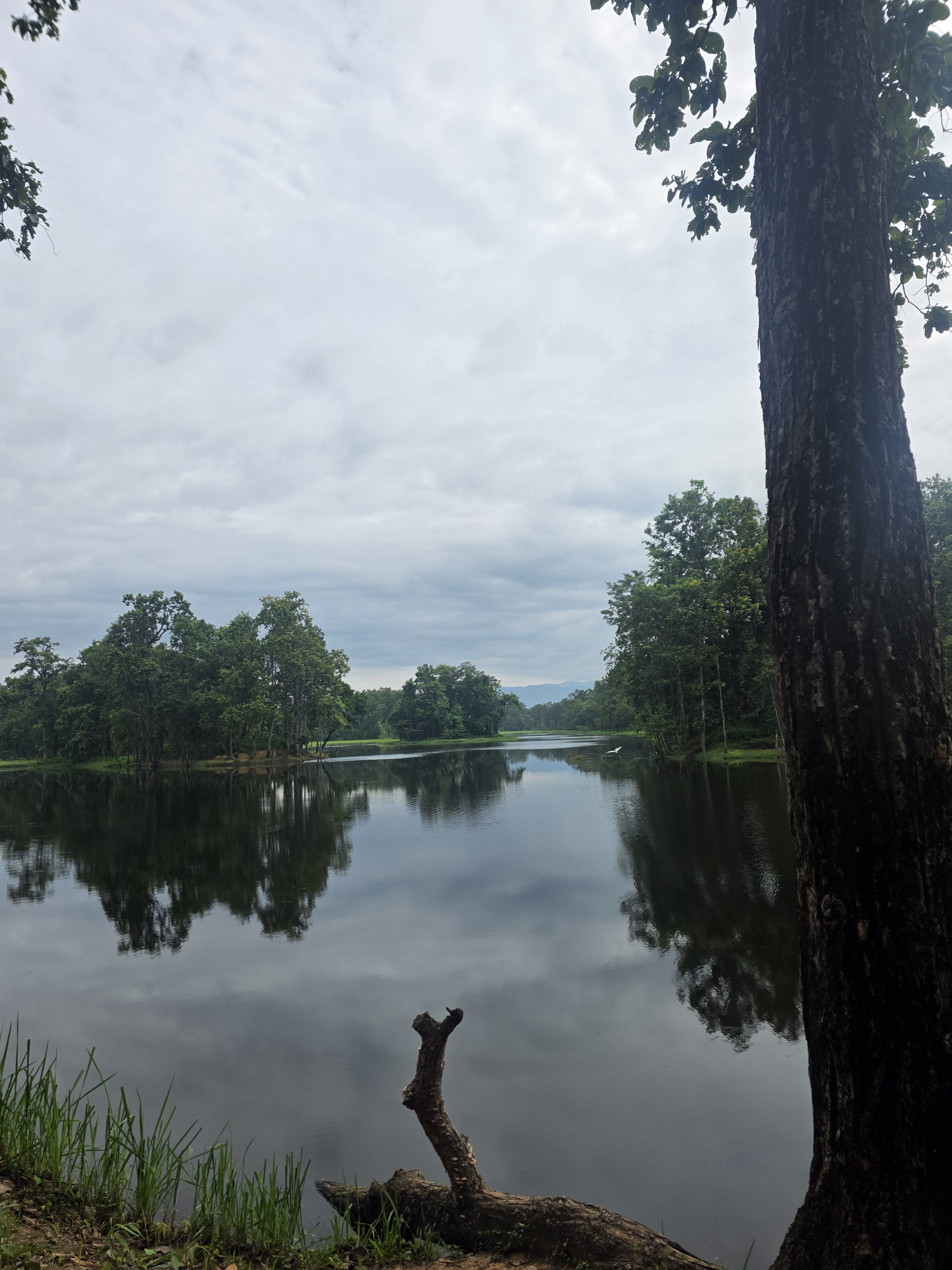 Calm lake surrounded by green trees and their reflections under a cloudy sky.