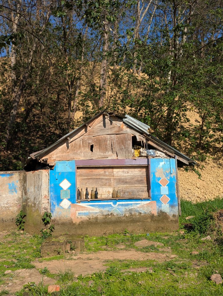 Small blue tree house with colorful geometric patterns, a slanted corrugated roof, and glass bottles on the window ledge, surrounded by grass and trees.