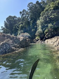 Kayaking through a narrow cove with clear water, surrounded by rocks and vegetation.
