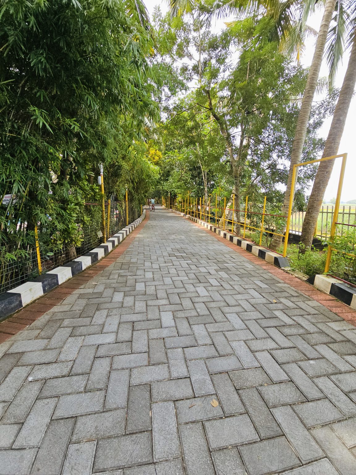 A paved pathway leads through lush tropical vegetation, framed by bamboo, coconut palms, and trees. The strong leading lines create depth and guide the eye into the scene. Location: Ayamkudy, Kottayam, Kerala.
