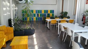 Modern workspace with wooden benches, tables, colorful lockers, chairs, and potted plants.