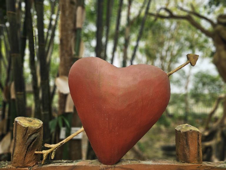 A heart-shaped red decorative object is suspended between wooden posts, with bamboo and greenery forming a softly blurred natural background. Location: Ayamkudy, Kottayam, Kerala.