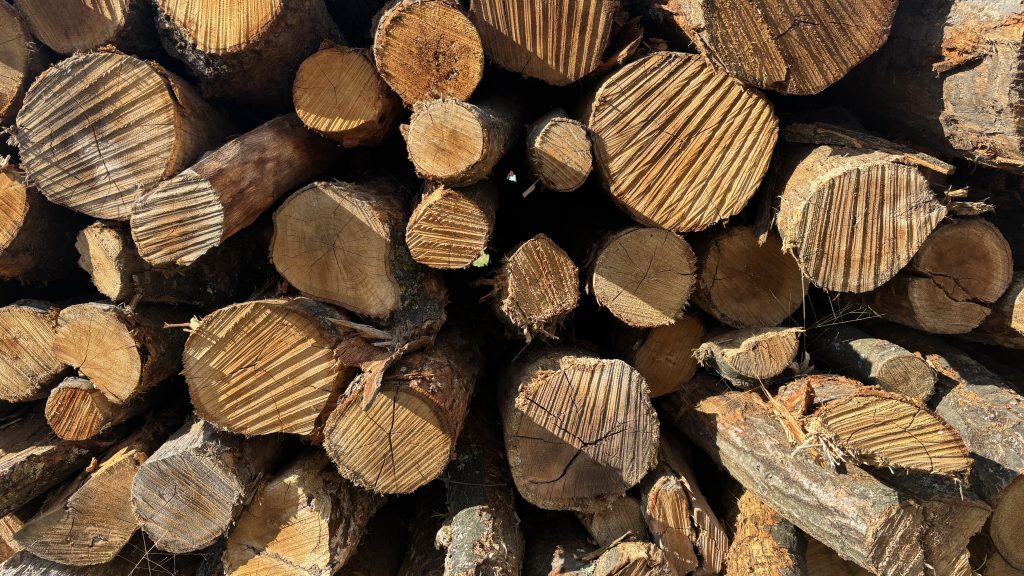 A stack of wood, seen from the end, so we see the sawn ends.
