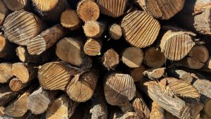 A stack of wood, seen from the end, so we see the sawn ends.
