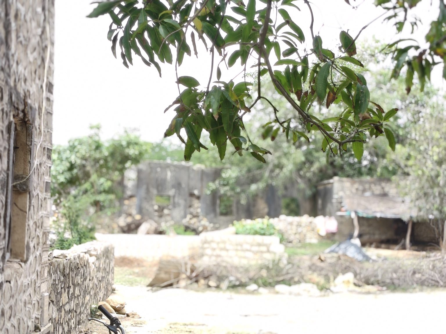 Old stone building with a leafy branch in the foreground, surrounded by greenery, rocks, and the remains of a dilapidated structure.