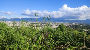 A panoramic view from hillside overlooking a city. In the foreground, dense greenery with variety of plants and tall grasses partially obscures the view. Beyond the vegetation, the city sprawls out, with clusters of buildings and streets creating a patchwork of development. The skyline is framed by distant mountains, sunlight casts a warm glow.