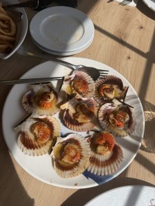 Grilled scallops served in their shells with sauce on a wooden table.