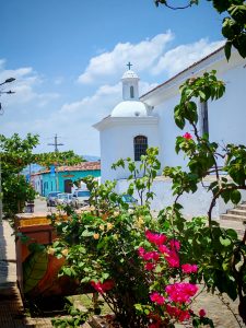 A church with houses in the background, there is a line of cars next to the church, a plant with pink flowers in the front of the picture