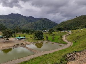 A rural landscape with green hills, a dirt road, small buildings, and fenced ponds beneath a cloudy sky.