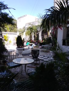 
A serene outdoor space is depicted, featuring a mix of lush greenery and artistic furnishings. 