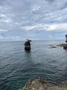 
Calm blue-green sea with a rocky outcrop topped by a small tree under a cloudy sky.